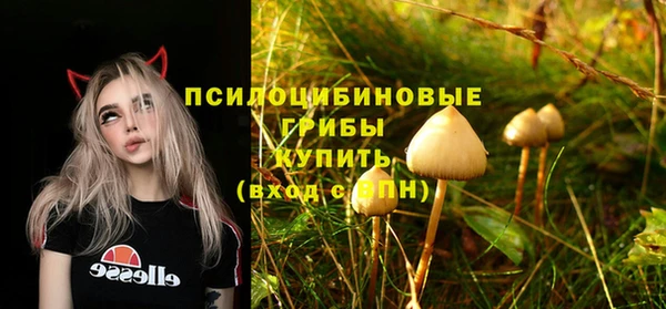 мяу мяу мука Белокуриха
