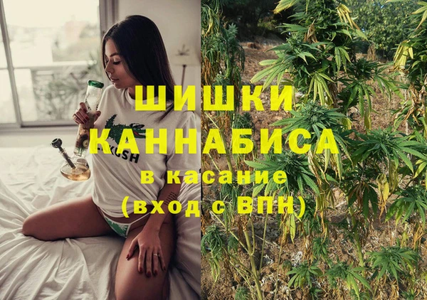 мяу мяу мука Белокуриха
