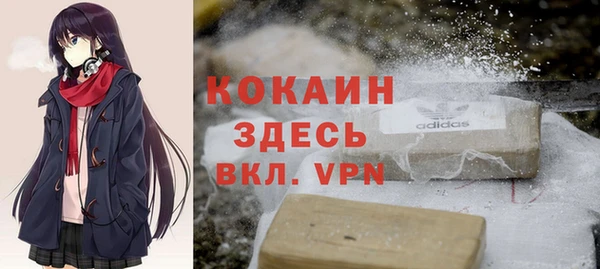 мяу мяу мука Белокуриха